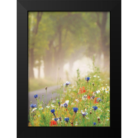 Bee Pleasure Black Modern Wood Framed Art Print by Podt, Martin