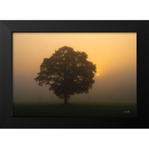 Solitary Oak Black Modern Wood Framed Art Print by Podt, Martin