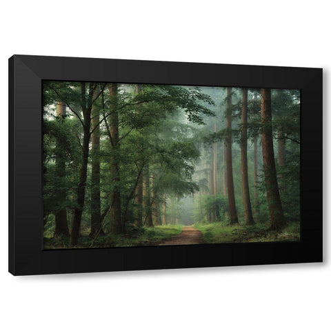 Moody Green Black Modern Wood Framed Art Print with Double Matting by Podt, Martin