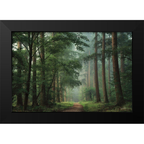 Moody Green Black Modern Wood Framed Art Print by Podt, Martin