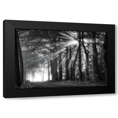 Amazing Rays Black Modern Wood Framed Art Print by Podt, Martin