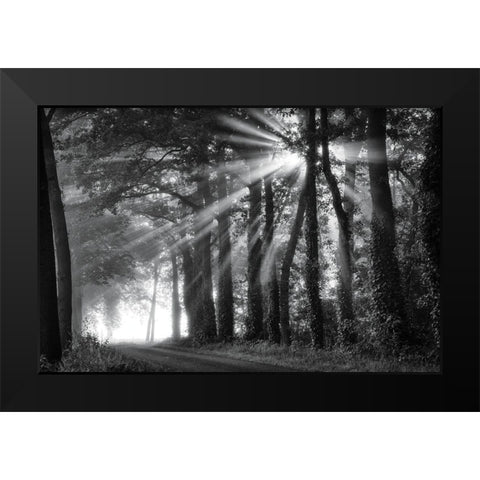 Amazing Rays Black Modern Wood Framed Art Print by Podt, Martin