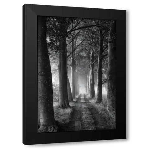 Forest Path Black Modern Wood Framed Art Print by Podt, Martin