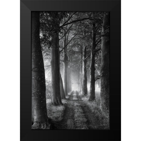 Forest Path Black Modern Wood Framed Art Print by Podt, Martin