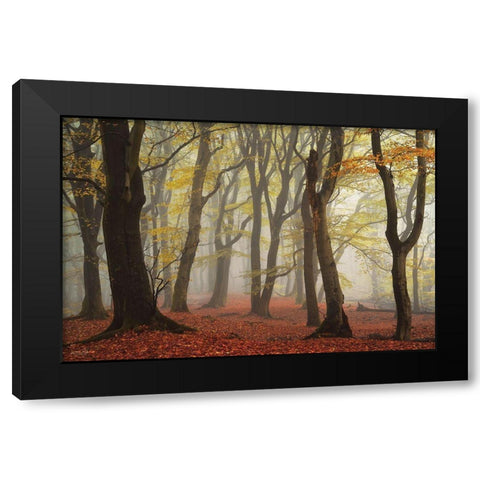 Layers of Trees  Black Modern Wood Framed Art Print with Double Matting by Podt, Martin