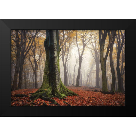 Autumn in the Forest  Black Modern Wood Framed Art Print by Podt, Martin