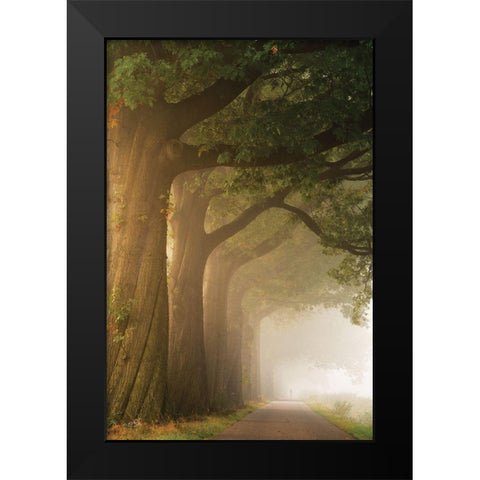 Twisted Trunk Black Modern Wood Framed Art Print by Podt, Martin