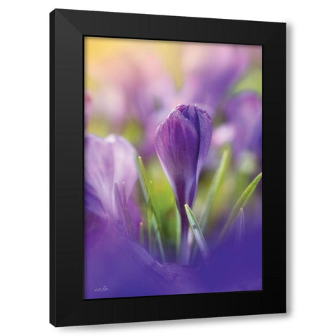 Shining at Sunset Black Modern Wood Framed Art Print with Double Matting by Podt, Martin