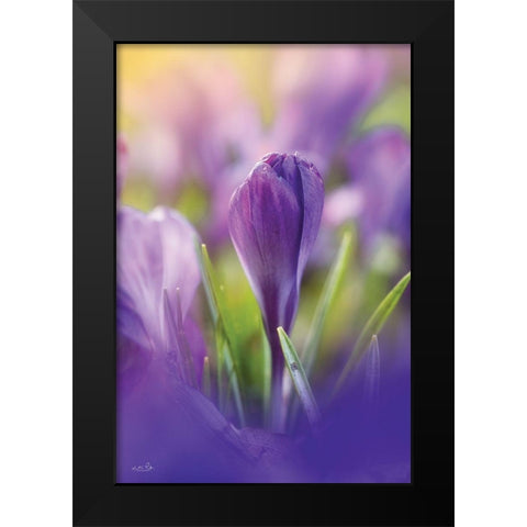 Shining at Sunset Black Modern Wood Framed Art Print by Podt, Martin