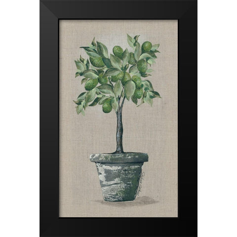 Lime Tree Black Modern Wood Framed Art Print by Norkus, Julie