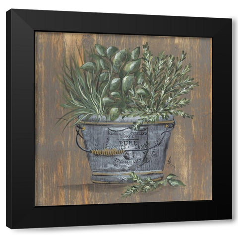 Herb Trio in Pail Black Modern Wood Framed Art Print with Double Matting by Norkus, Julie