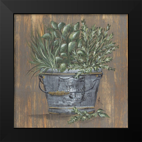 Herb Trio in Pail Black Modern Wood Framed Art Print by Norkus, Julie