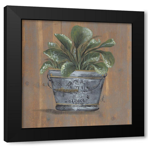 Pretty Plant in Pail Black Modern Wood Framed Art Print with Double Matting by Norkus, Julie