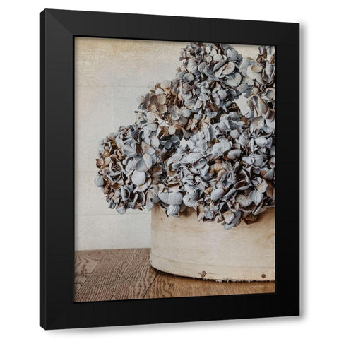 Rustic Hydrangea Black Modern Wood Framed Art Print by Rigsby, Jennifer