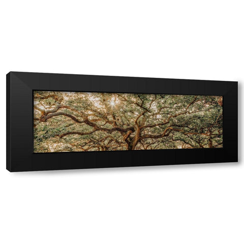 Low Country Oaks I Black Modern Wood Framed Art Print by Rigsby, Jennifer