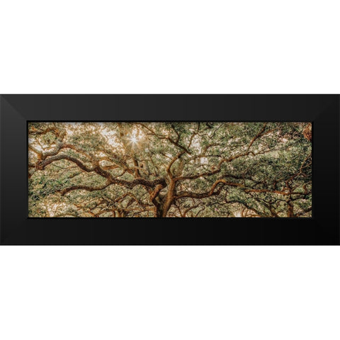 Low Country Oaks I Black Modern Wood Framed Art Print by Rigsby, Jennifer