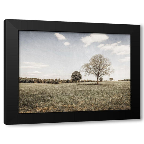 Together in the Fields I Black Modern Wood Framed Art Print by Rigsby, Jennifer