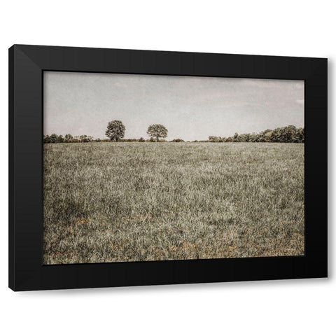 Together in the Fields II Black Modern Wood Framed Art Print with Double Matting by Rigsby, Jennifer