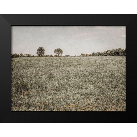 Together in the Fields II Black Modern Wood Framed Art Print by Rigsby, Jennifer