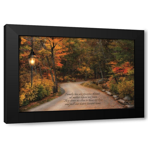 Family Ties Black Modern Wood Framed Art Print by Vieira, Robin-Lee