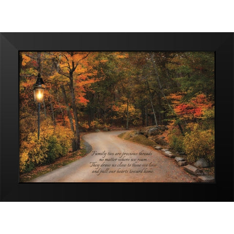 Family Ties Black Modern Wood Framed Art Print by Vieira, Robin-Lee