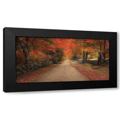 October Lane Black Modern Wood Framed Art Print by Vieira, Robin-Lee