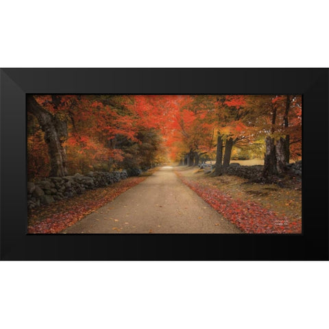October Lane Black Modern Wood Framed Art Print by Vieira, Robin-Lee
