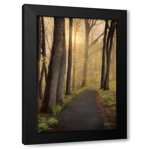 After the Rain Black Modern Wood Framed Art Print with Double Matting by Vieira, Robin-Lee