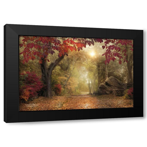 October Dreams Black Modern Wood Framed Art Print with Double Matting by Vieira, Robin-Lee
