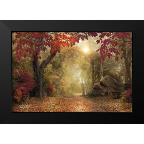 October Dreams Black Modern Wood Framed Art Print by Vieira, Robin-Lee