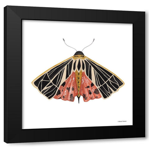 Naturally Wonderful Moth Black Modern Wood Framed Art Print with Double Matting by Nieman, Rachel