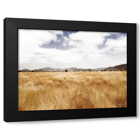 Meadow Black Modern Wood Framed Art Print with Double Matting by Ball, Susan