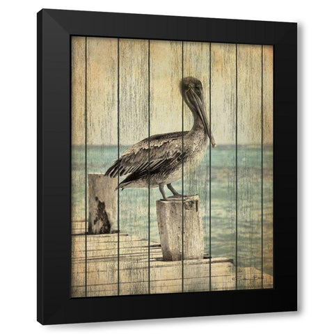 Vintage Pelican I  Black Modern Wood Framed Art Print with Double Matting by Ball, Susan