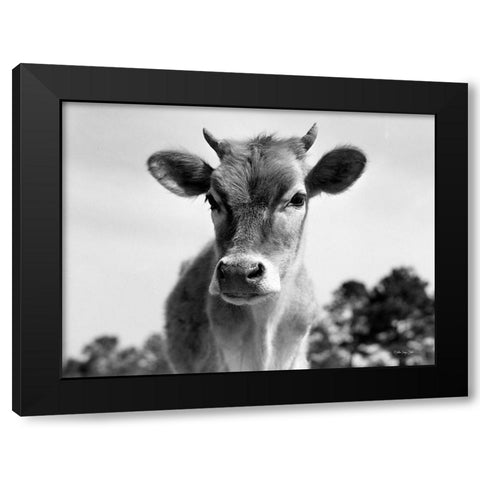 Mildred Black Modern Wood Framed Art Print with Double Matting by Stellar Design Studio