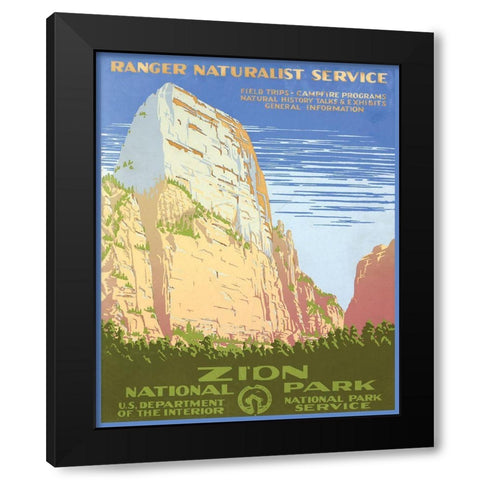 Zion National Park Black Modern Wood Framed Art Print with Double Matting by Stellar Design Studio