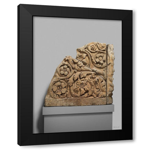 Acanthus 1 Black Modern Wood Framed Art Print with Double Matting by Stellar Design Studio