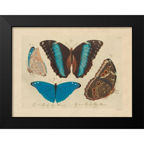 Vintage Butterflies 1 Black Modern Wood Framed Art Print by Stellar Design Studio