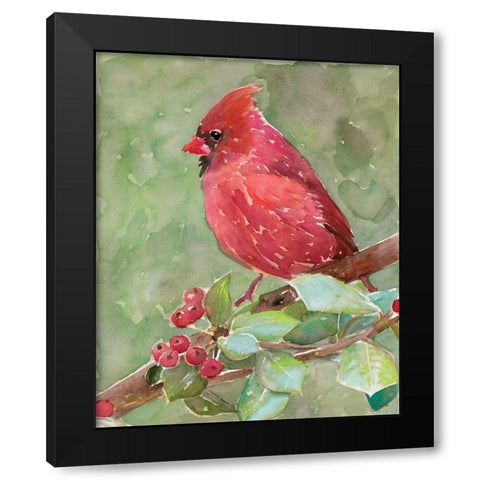 Cardinal 2 Black Modern Wood Framed Art Print with Double Matting by Stellar Design Studio