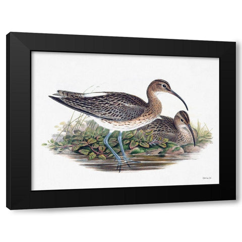 Goulds Coastal Bird III Black Modern Wood Framed Art Print by Stellar Designs Studio