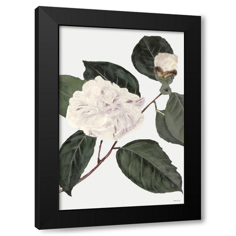 White Botanical I Black Modern Wood Framed Art Print with Double Matting by Stellar Design Studio