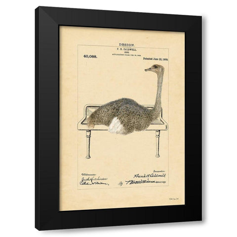 Ostrich in Sink Black Modern Wood Framed Art Print with Double Matting by Stellar Design Studio