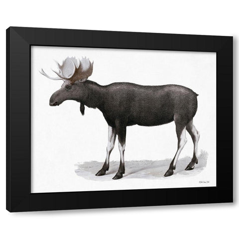 Grand Moose   Black Modern Wood Framed Art Print with Double Matting by Stellar Design Studio