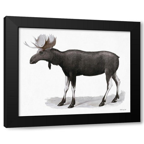 Grand Moose   Black Modern Wood Framed Art Print by Stellar Design Studio