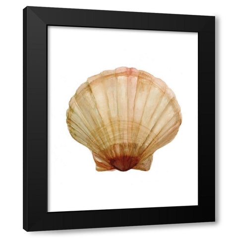 Neutral Shell Collection 2   Black Modern Wood Framed Art Print with Double Matting by Stellar Design Studio