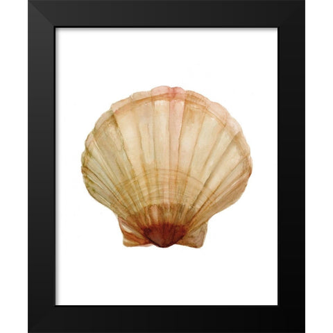 Neutral Shell Collection 2   Black Modern Wood Framed Art Print by Stellar Design Studio