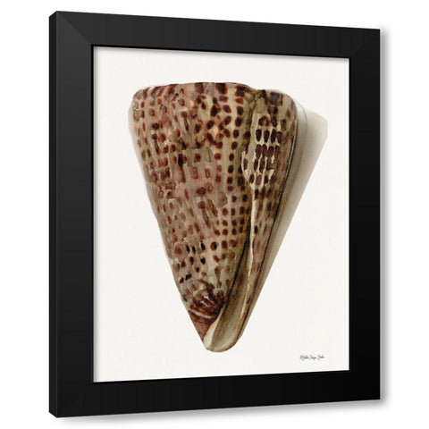 Neutral Shell Collection 6 Black Modern Wood Framed Art Print with Double Matting by Stellar Design Studio