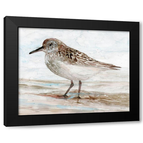 Sanibel Piper 1   Black Modern Wood Framed Art Print with Double Matting by Stellar Design Studio