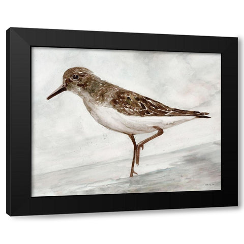 Sanibel Piper 3   Black Modern Wood Framed Art Print with Double Matting by Stellar Design Studio