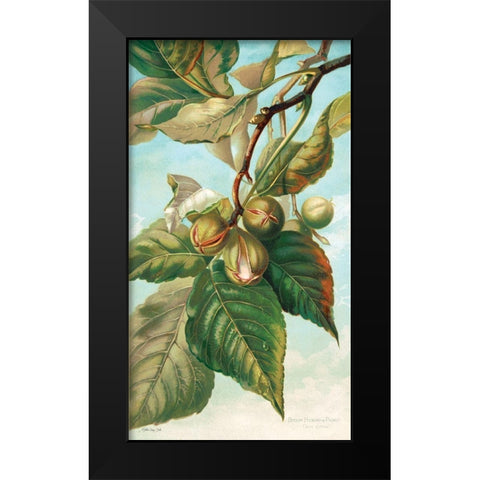 Tree Branch with Fruit I Black Modern Wood Framed Art Print by Stellar Design Studio