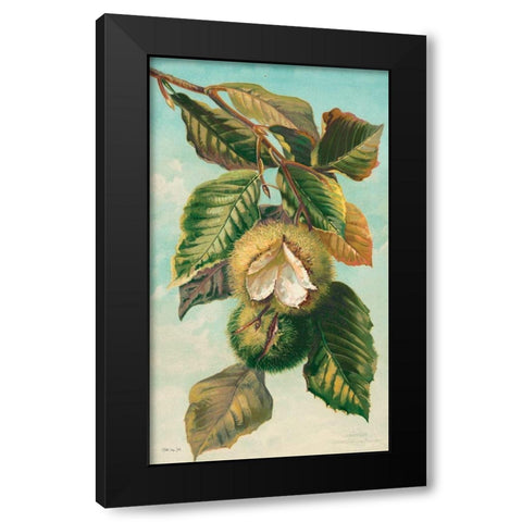 Tree Branch with Fruit II Black Modern Wood Framed Art Print with Double Matting by Stellar Design Studio